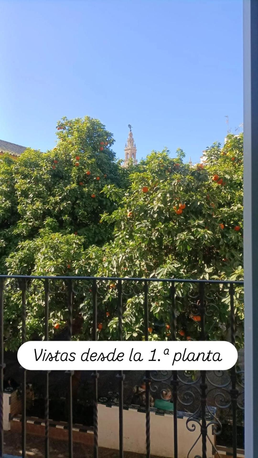 Apartamentos En La Plaza Dona Elvira, 7 Севілья Екстер'єр фото