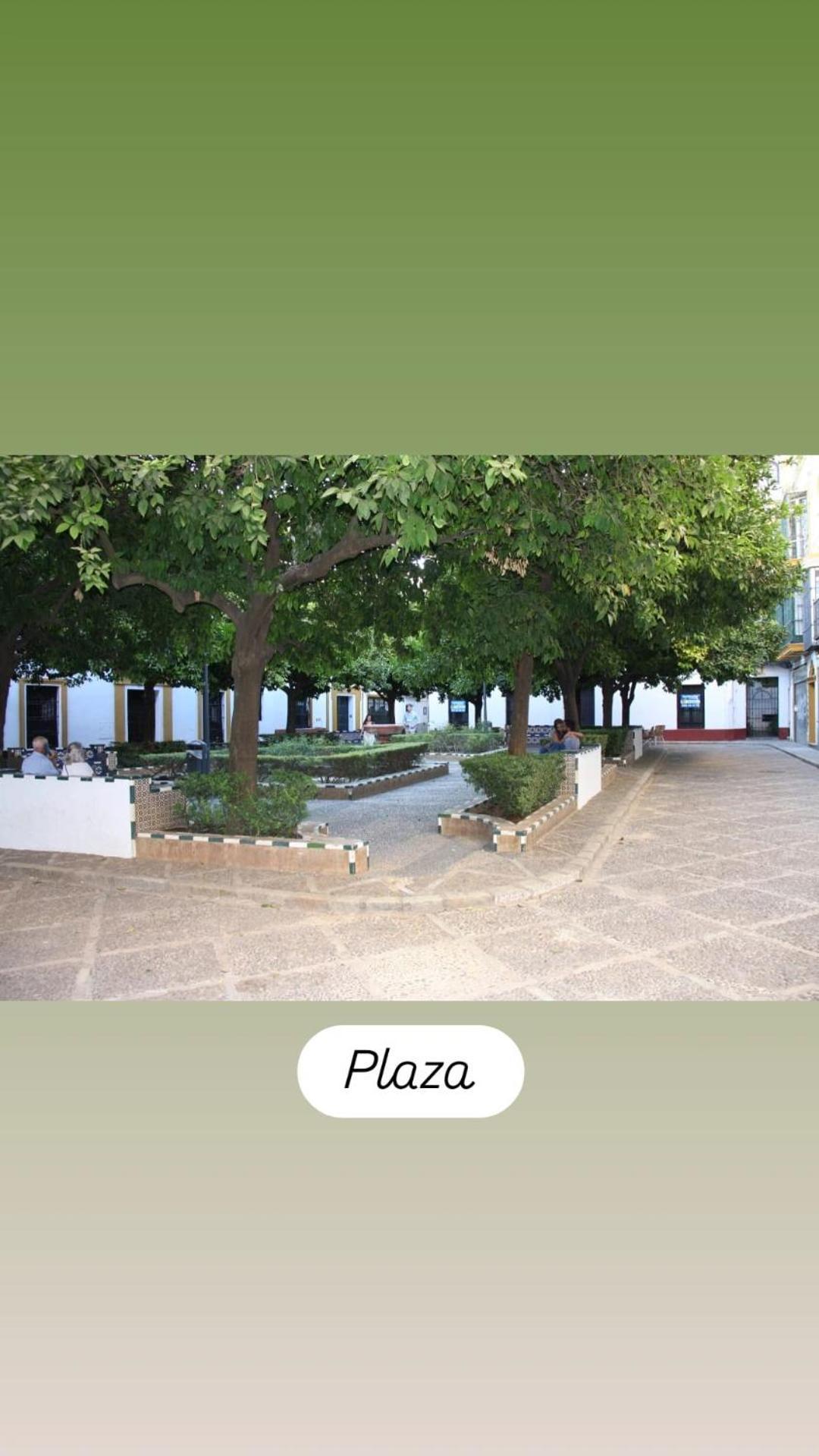 Apartamentos En La Plaza Dona Elvira, 7 Севілья Екстер'єр фото